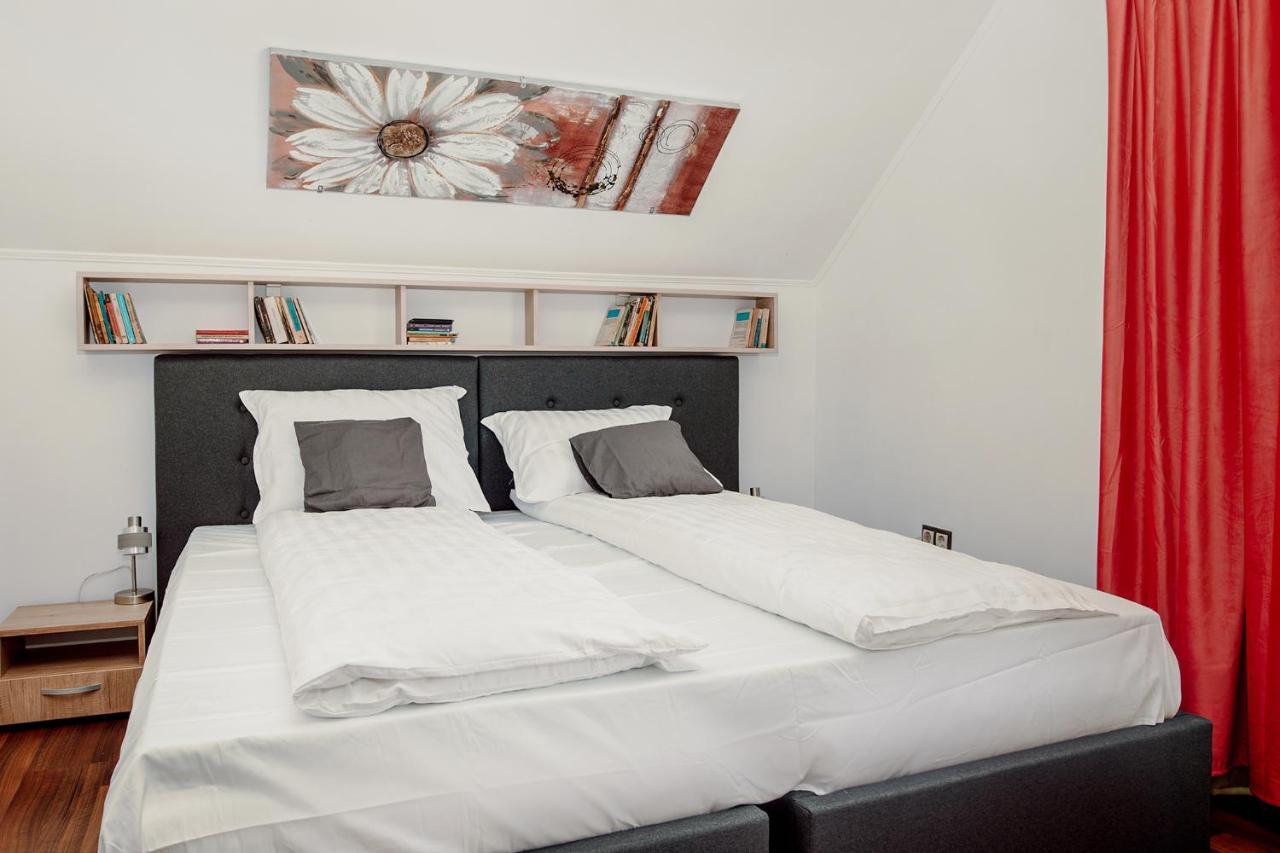 Coolis Sirul Livezii Apartament Brașov